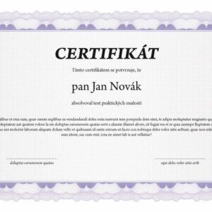 Папір для атестатів та дипломів А4, 20 аркушів, фіолетовий